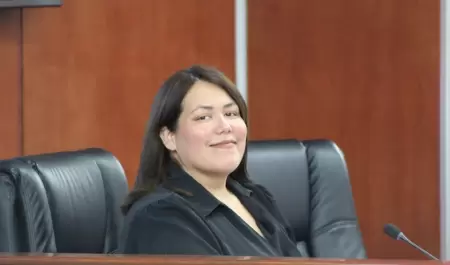 Diputada Julia Gonzlez