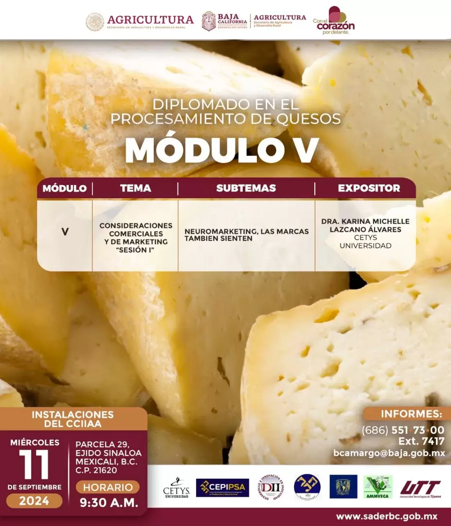 Quesos Modulo V