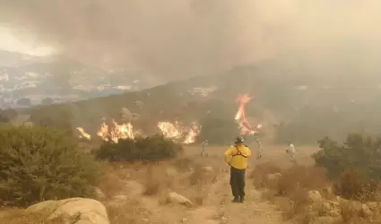 Presenta SADERBC avances de incendio forestal en Tecate