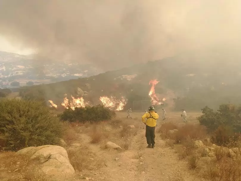 Presenta SADERBC avances de incendio forestal en Tecate