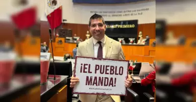 Senado declara constitucionalidad de reforma judicial: Armando Ayala