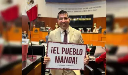 Senado declara constitucionalidad de reforma judicial: Armando Ayala