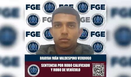 Culpable de robo calificado y robo de vehculo sentenciado a 10 aos de prisin