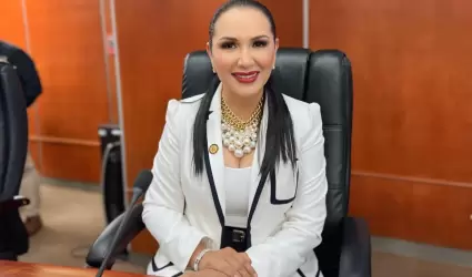 Diputada Araceli Geraldo Nez