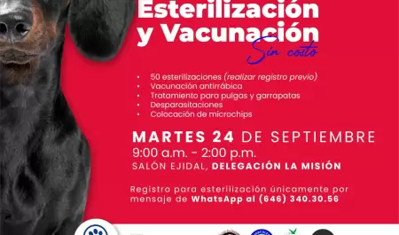 Jornada de esterilizacin en La Misin