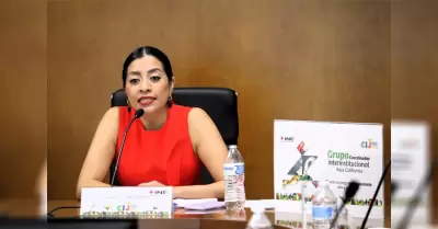 Presentar INE en Baja California Estrategia Nacional de Educacin Cvica 2024-2