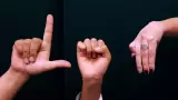 Lengua de Se�as Mexicana