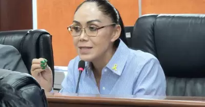 Diputada Adriana Padilla