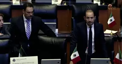 Intervencin de Marko Corts en el Senado