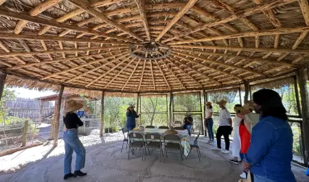 Trabajan en pro del medio ambiente