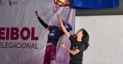 Torneo delegacional de voleibol