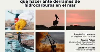 Simulacro: qu hacer ante derrames de hidrocarburos en el mar