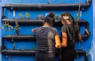 "Growing Taller", una iniciativa de jardines verticales en refugios para nios migrantes en Tijuana