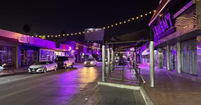 Rosa camellones y palmeras en la Plaza Cvica de la Patria