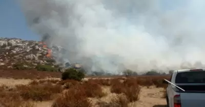 Operativo ante incendio