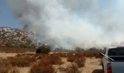 Operativo ante incendio