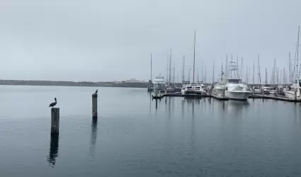 Se prev�n cielos parcialmente nublados con tardes soleadas para la zona urbana d