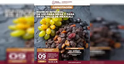 Invita SADERBC a capacitacin sobre el manejo integral de uva para mesa y uva pa