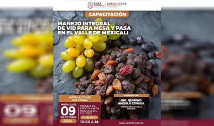 Invita SADERBC a capacitacin sobre el manejo integral de uva para mesa y uva pa