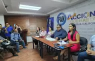 Respalda el Grupo Parlamentario del PAN iniciativa Ciudadana de Proteccin a la infancia