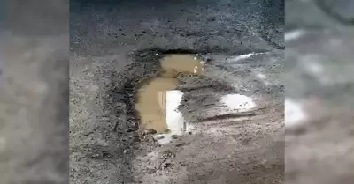 Bache en Infonavit Capistrano