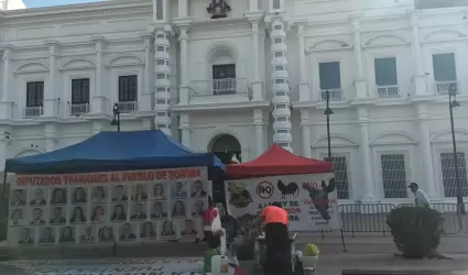 Plantn de galleros frente a Palacio de Gobierno