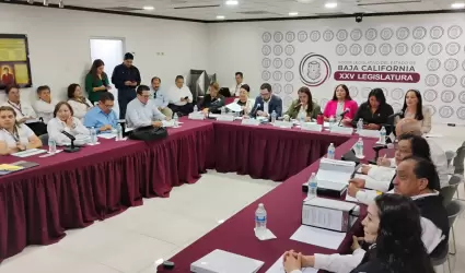 Contin�an sesiones de trabajo de la comisi�n de fiscalizaci�n del gasto p�blico