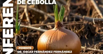 Conferencia sobre el manejo de la rizsfera en el cultivo de la cebolla de San Q