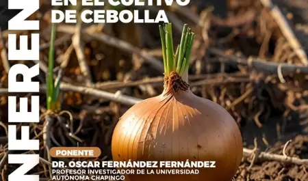 Conferencia sobre el manejo de la rizsfera en el cultivo de la cebolla de San Q