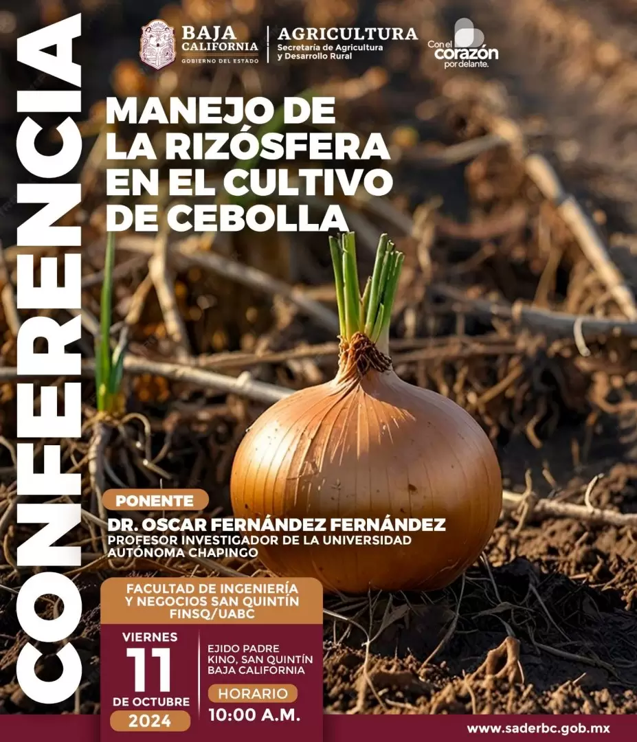 Conferencia sobre el manejo de la rizsfera en el cultivo de la cebolla de San Quintn