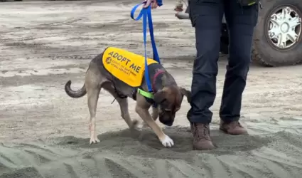 Nuevo refugio para animales