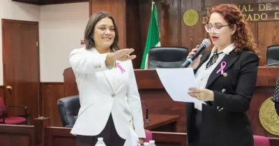 Asume Mnica Vargas la Presidencia del Observatorio de Participacin Poltica de