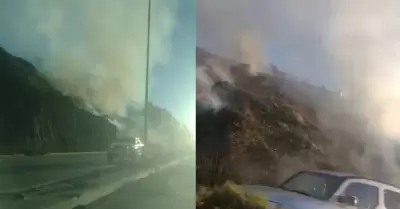 Se registr incendio en ladera junto al libramiento Salvador Rosas Magalln