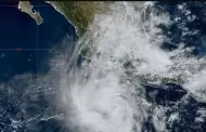 Tormenta tropical "Kristy"; frente a costas de Guerrero y Michoacn