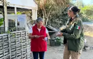 Comienzan en Tijuana recorridos preventivos por la temporada de lluvias