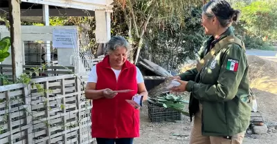 Comienzan en Tijuana recorridos preventivos por la temporada de lluvias