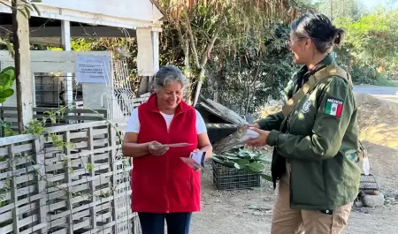 Comienzan en Tijuana recorridos preventivos por la temporada de lluvias