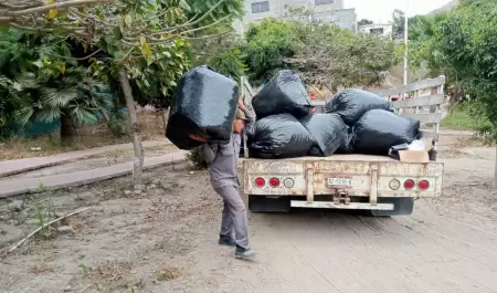 Intensifican labores de limpieza en vialidades y reas pblicas