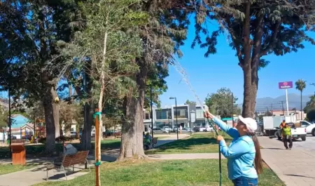 Reforesta Gobierno de Ensenada parques y jardines