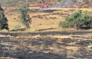 Atienden Bomberos y Proteccin Civil de Tecate incendio forestal en Rancho El Eucalipto