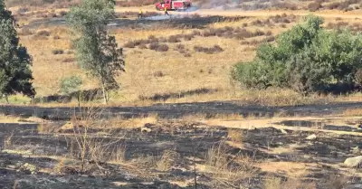 Incendio forestal en Rancho El Eucalipto