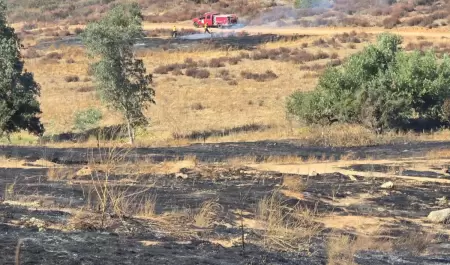 Incendio forestal en Rancho El Eucalipto