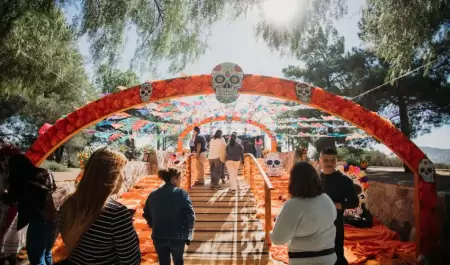 Invitan a disfrutar del XXIV Festival del Da de Muertos en Tecate Pueblo Mgico