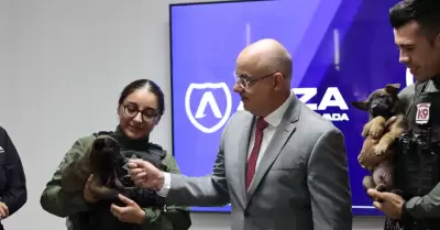 SSCBC recibe donacin de Grupo Arza de dos cachorros para la unidad K9 de FESC