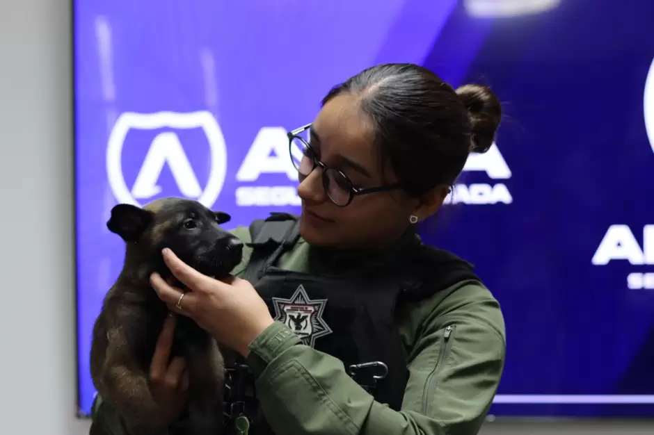 SSCBC recibe donacin de Grupo Arza de dos cachorros para la unidad K9 de FESC