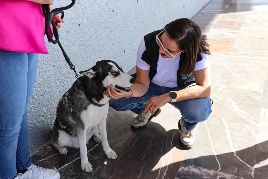 Santuario animal Mily logra tres adopciones en el primer da de su nuevo mdulo