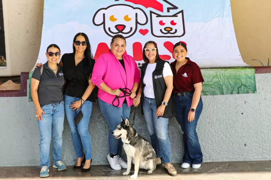 Santuario animal Mily logra tres adopciones en el primer da de su nuevo mdulo