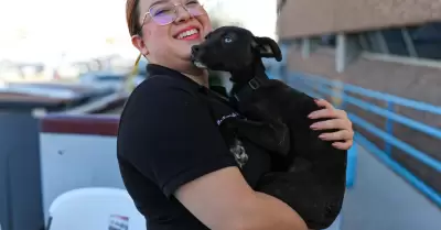 Santuario animal Mily logra tres adopciones en el primer da de su nuevo mdulo