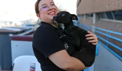 Santuario animal Mily logra tres adopciones en el primer da de su nuevo mdulo