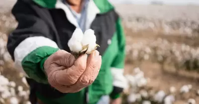 Baja California, entre los cuatro estados con mayor crecimiento econmico del pa